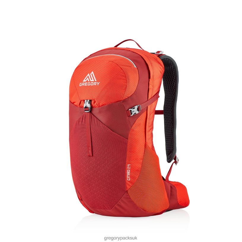 Citro 24 Gregory Packs Vivid Red 06086224 Packs
