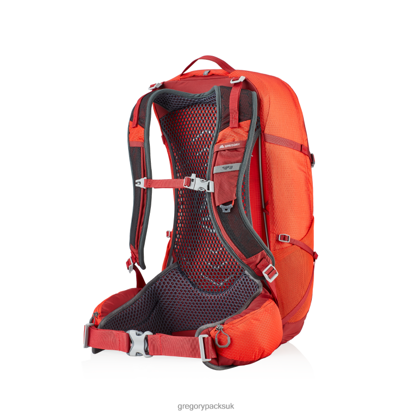 Citro 30 Gregory Packs Vivid Red 06086230 Packs