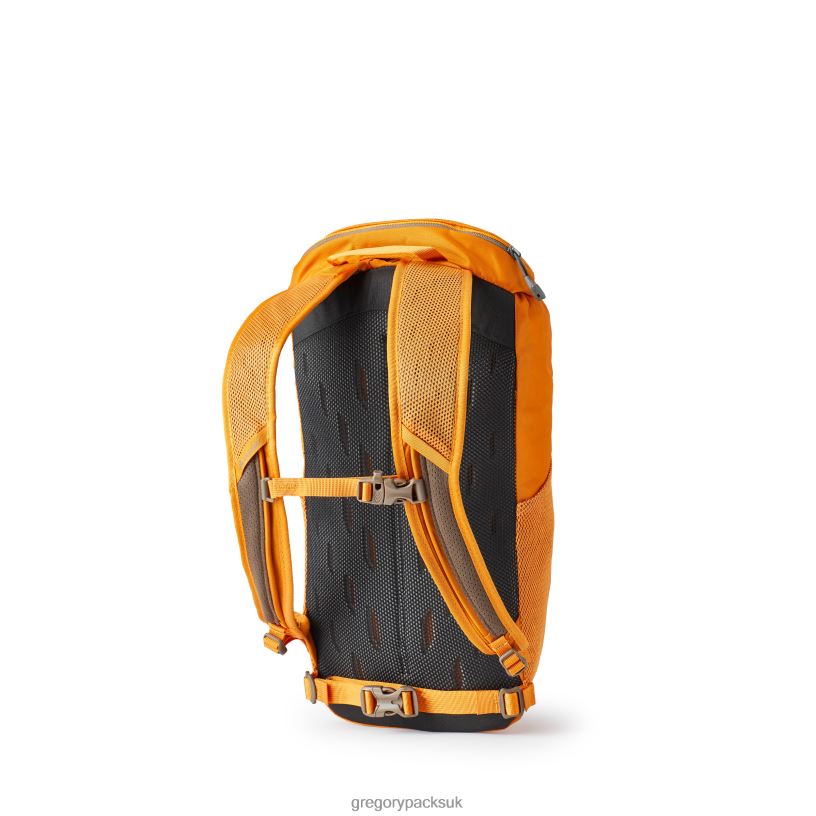 Nano 16 Gregory Packs Burnt Amber 06086133 Packs