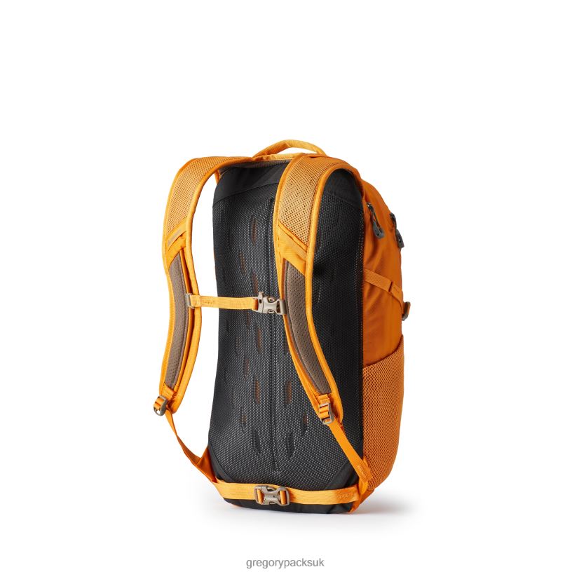 Nano 20 Gregory Packs Burnt Amber 0608669 Packs
