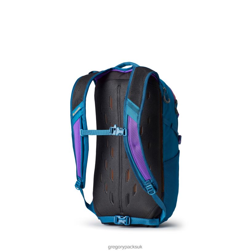Nano 20 Gregory Packs Icon Teal 0608672 Packs