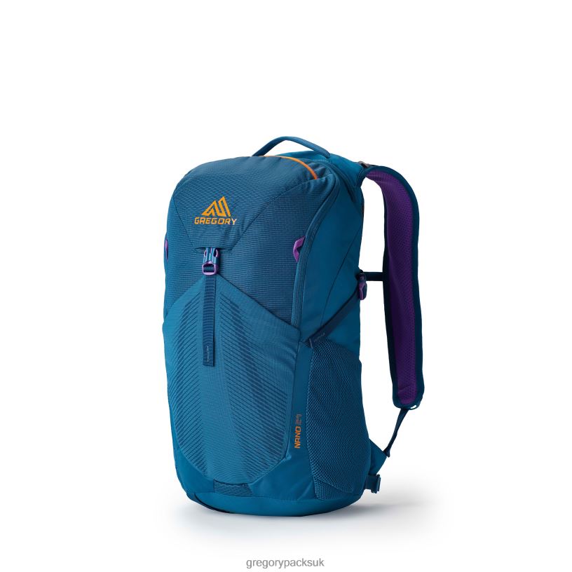 Nano 24 Gregory Packs Icon Teal 06086198 Packs