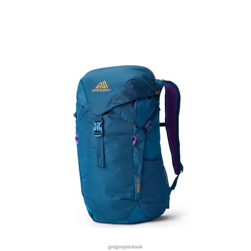 Nano 30 Gregory Packs Icon Teal 06086165 Packs