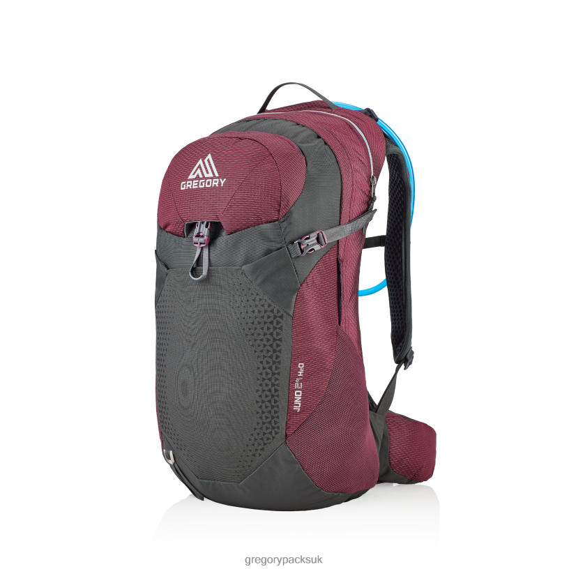 Juno 24 H2O Gregory Packs Nightshade Purple 06086280 Packs