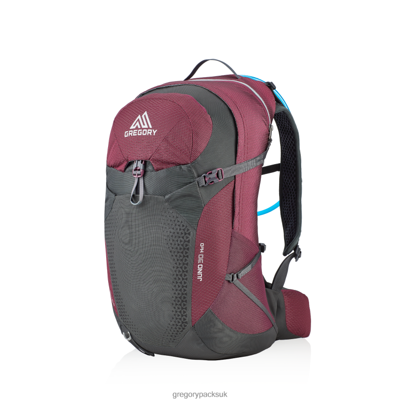 Juno 30 H2O Gregory Packs Nightshade Purple 06086299 Packs