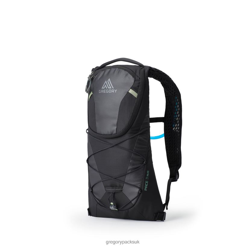 Pace 3 H2O Gregory Packs Black Ice 06086334 Packs