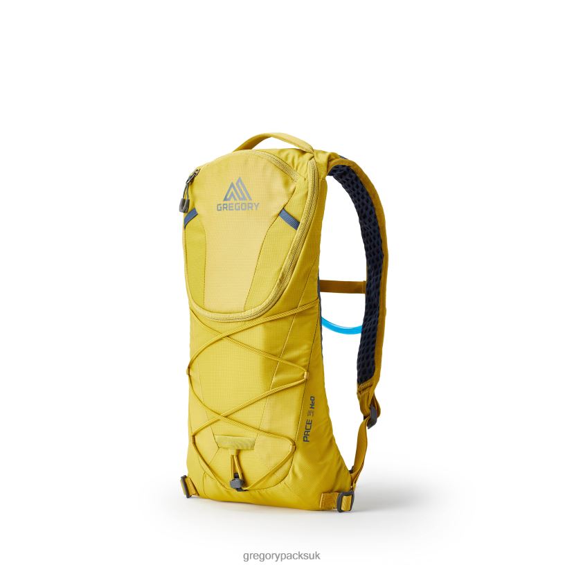 Pace 3 H2O Gregory Packs Mineral Yellow 06086333 Packs