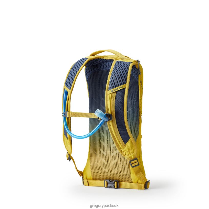 Pace 3 H2O Gregory Packs Mineral Yellow 06086333 Packs