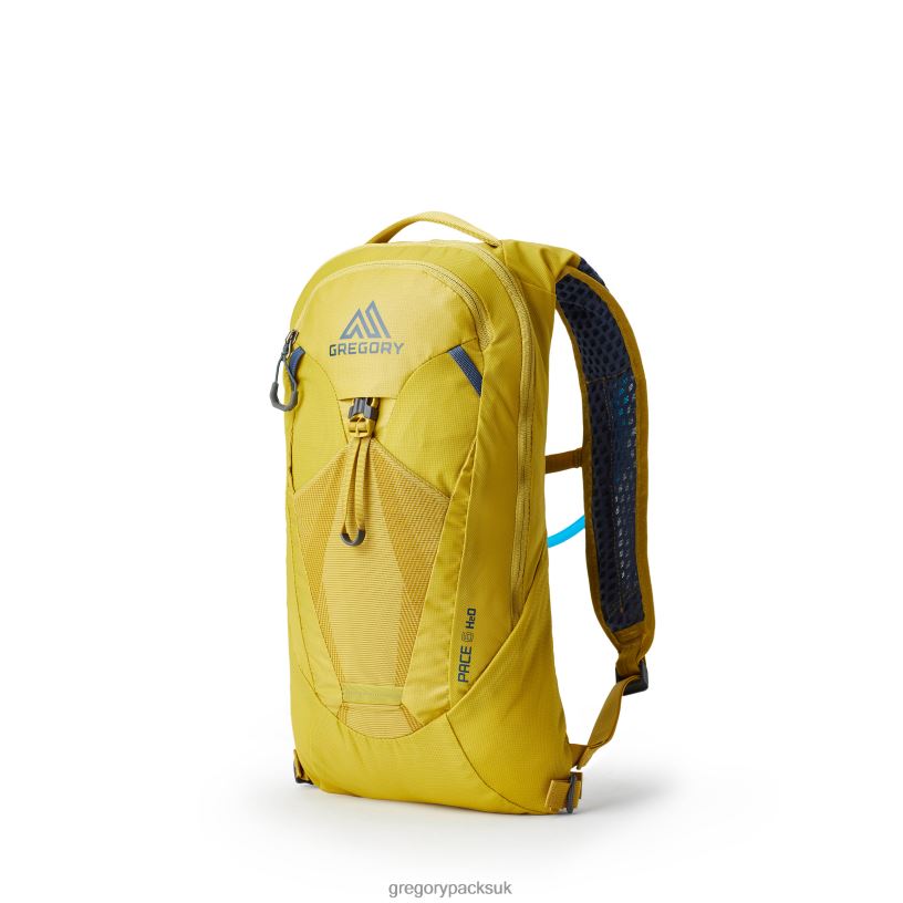 Pace 6 H2O Gregory Packs Mineral Yellow 06086332 Packs