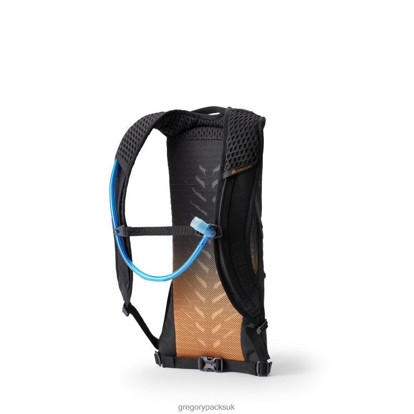 Tempo 3 H2O Gregory Packs Carbon Bronze 06086339 Packs