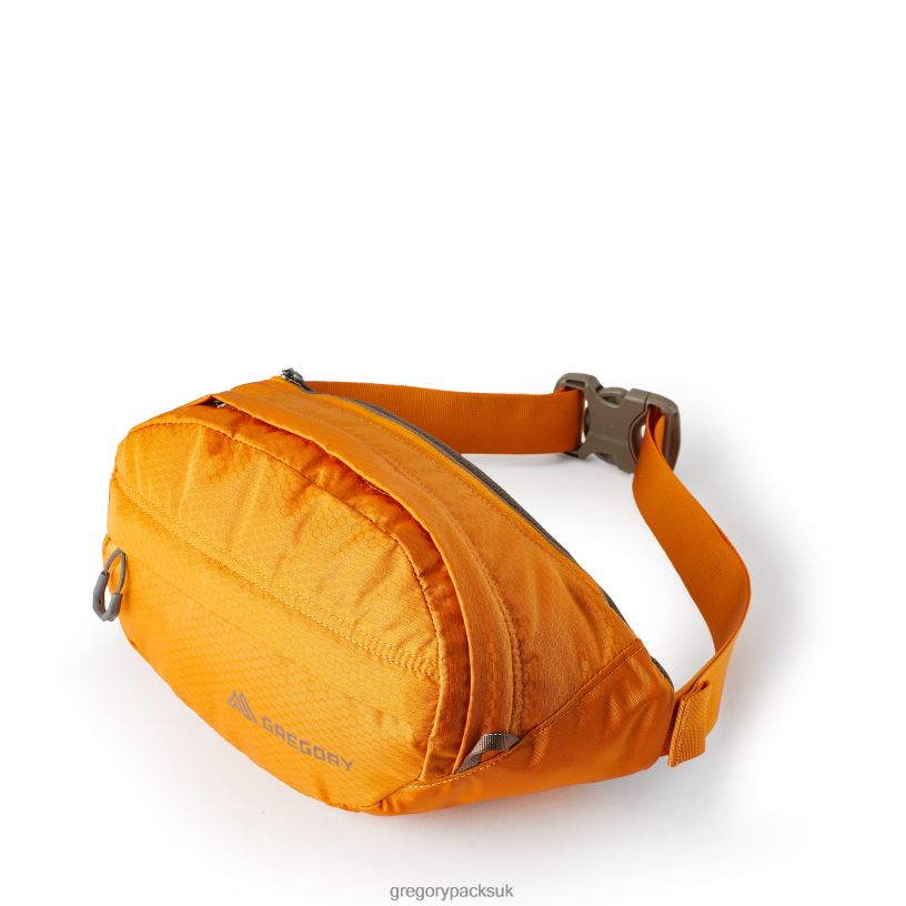 Nano Waistpack Gregory Packs Burnt Amber 06086103 Packs