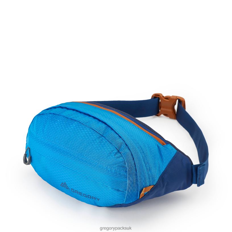 Nano Waistpack Gregory Packs Cobalt Blue 06086102 Packs