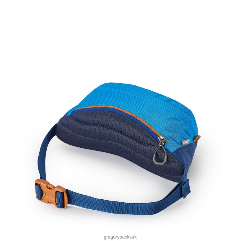 Nano Waistpack Gregory Packs Cobalt Blue 06086102 Packs