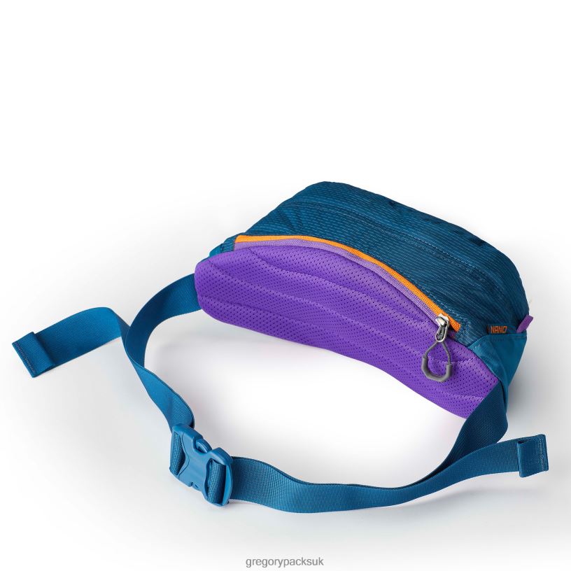 Nano Waistpack Gregory Packs Icon Teal 06086107 Packs