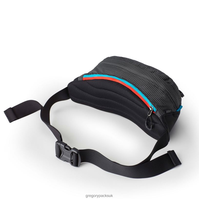 Nano Waistpack Gregory Packs Techno Black 06086106 Packs