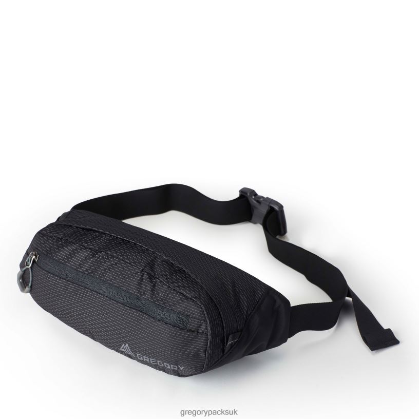 Nano Waistpack Mini Gregory Packs Obsidian Black 06086139 Packs