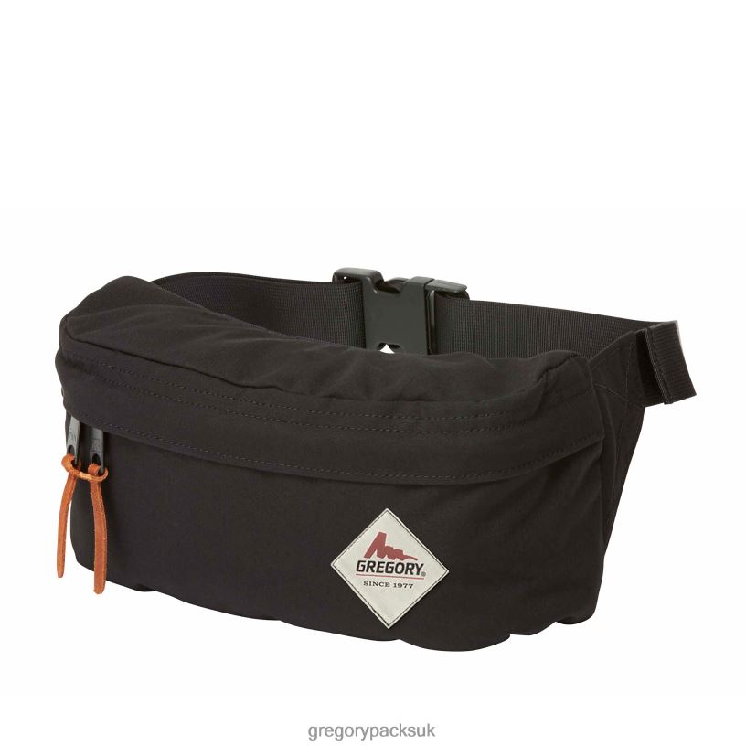 Sunbird Tail Breeze Gregory Packs Black 06086194 Packs